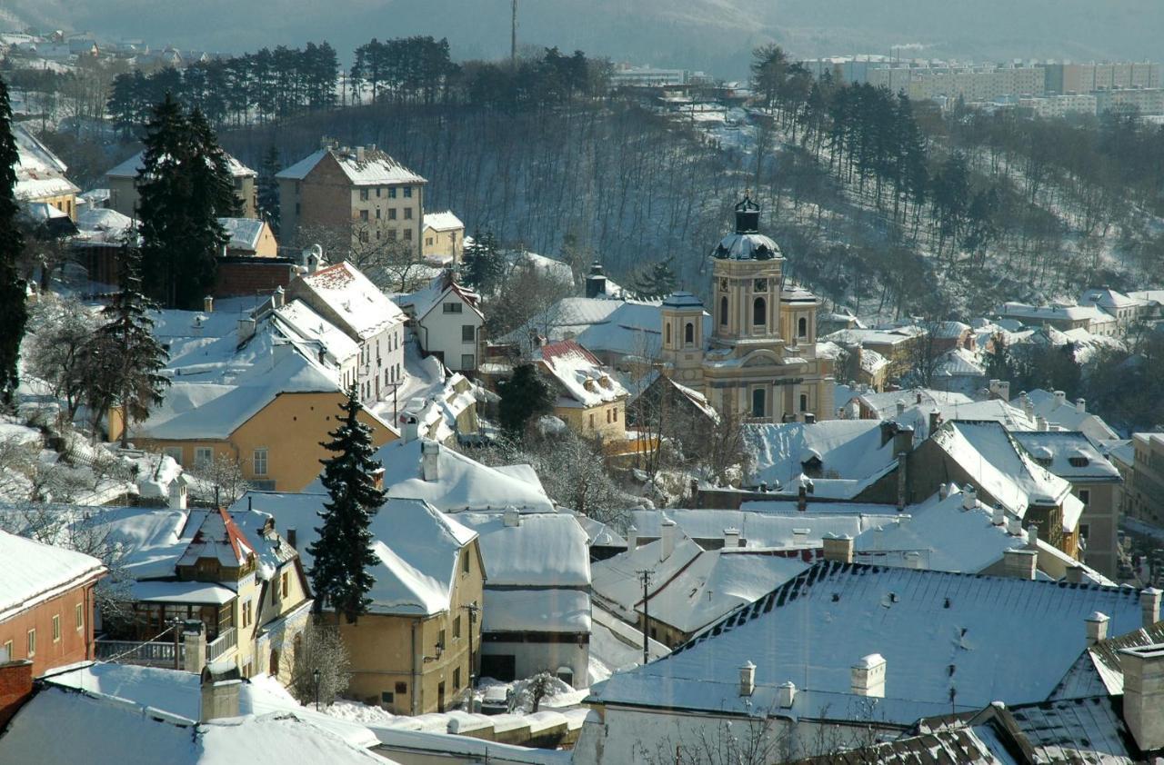 Vila Stiavnica บันสกา ชีอาว์นีซา ภายนอก รูปภาพ